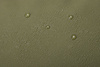 Torba podróżna Thule Chasm 30L deep khaki, zdjęcie 9
