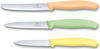 Zestaw noży kuchennych Victorinox 6.7116.34L2